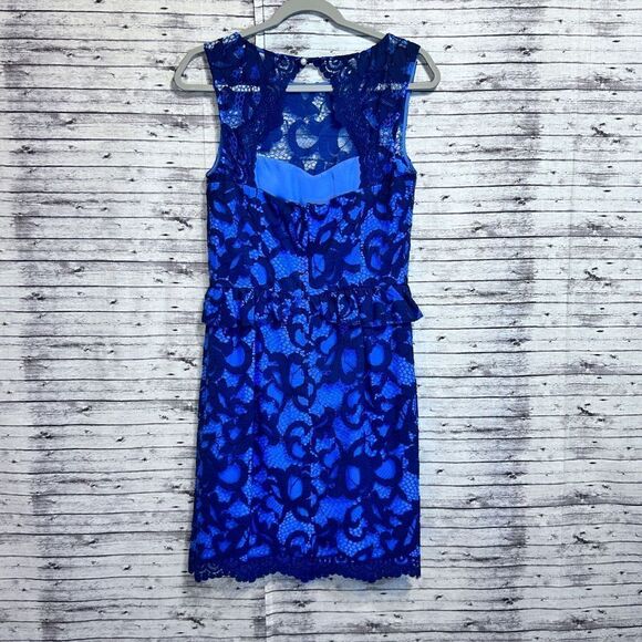 Lilly Pulitzer Kiri Dress Romantic Corded Lace - Picture 14 of 14